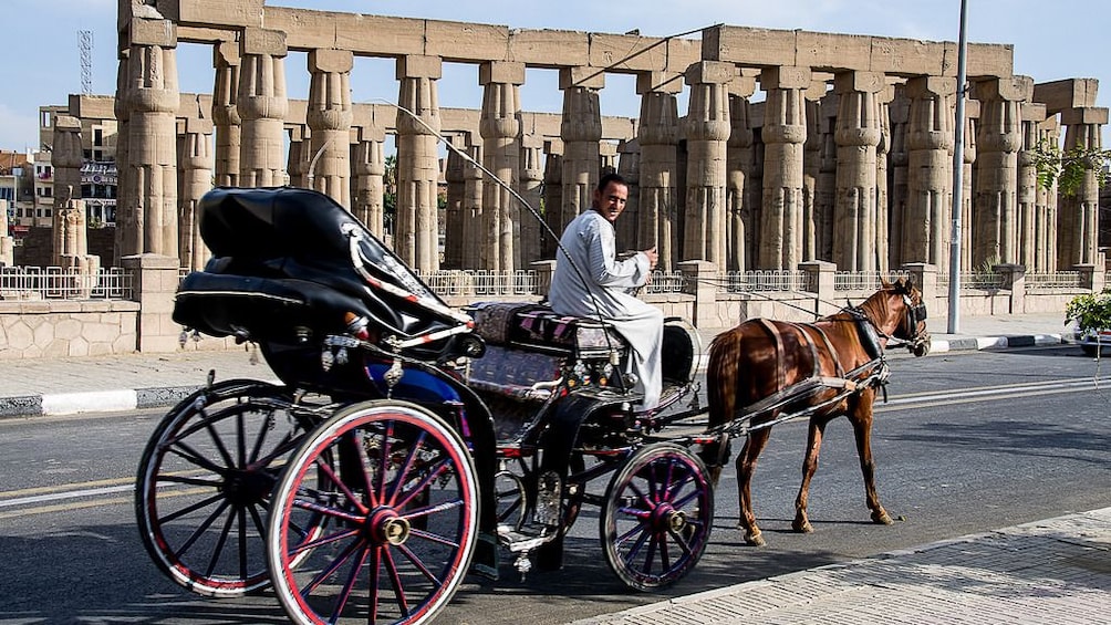  Luxor City Tour By Horse Carriage