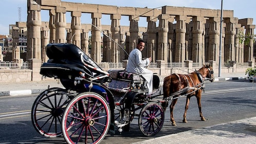 Recorrido por la ciudad de Luxor en carruaje de caballos - Tour privado