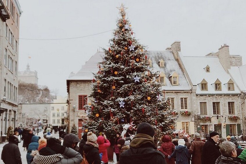 Christmas Lights and Festive Delights in Amsterdam