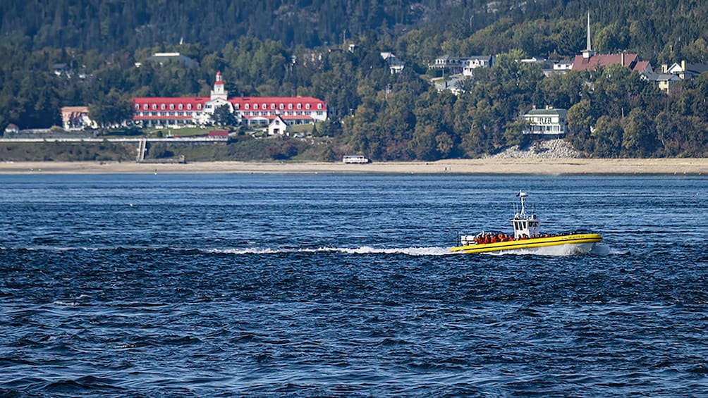 Tadoussac/Charlevoix: 2-Hour Zodiac Whale Watching Tour