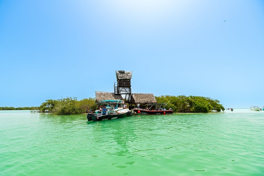 Holbox Island Tour