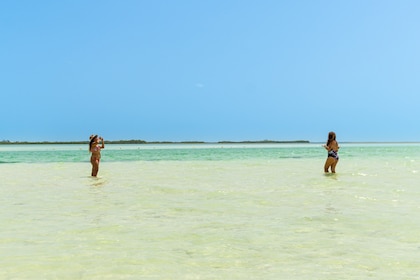 Holbox Insel Tour