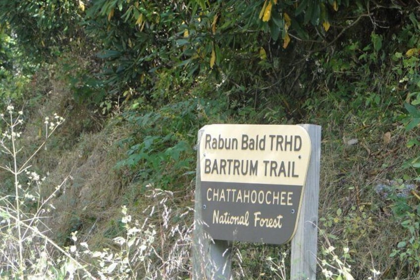 Experience Bartrum Trail in Clayton Georgia!