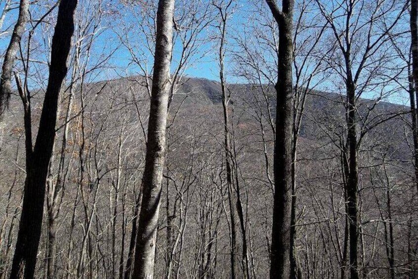 Standing Indian Mountain has amazing views on Top!