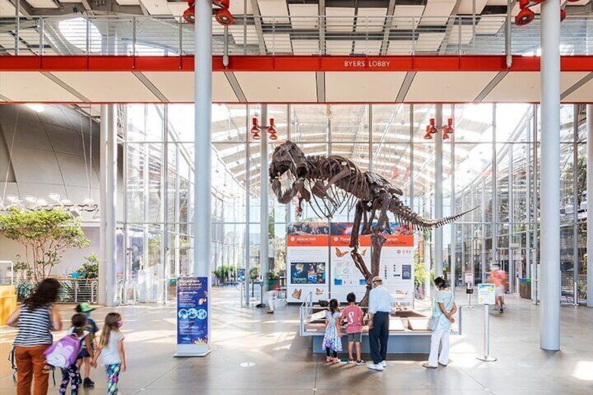 Welcome to the California Academy of Sciences!