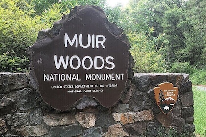 Muir Woods & Sausalito Shuttle: Small Group Experience