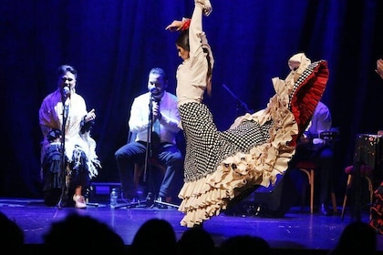 Flamencoforestilling på teateret i Barcelonas rådhus