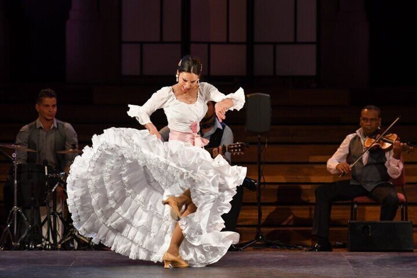 "Gran Gala Flamenco" The most famous flamenco show in Barcelona.