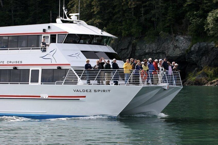Columbia Glacier Cruise from Valdez - 10:30 AM 