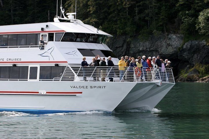 Columbia Glacier Cruise from Valdez - 10:30 AM
