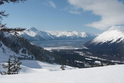 Whittier to Anchorage Cruise Transfer and Private Tour
