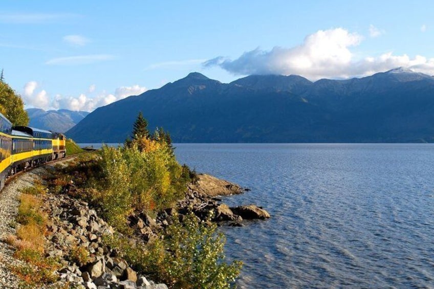 Whittier to Anchorage Cruise Transfer and Private Tour
