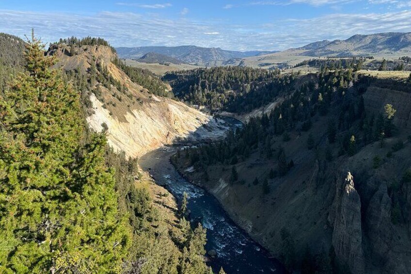 Yellowstone Wildlife and Photo Tours “Upper Loop” Tour From Cody 