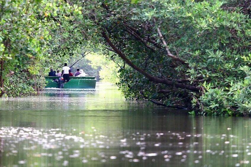 Caroni Bird Sanctuary