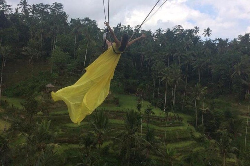 Jungle swing