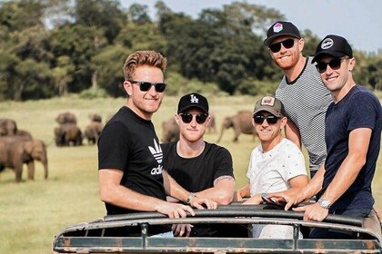 Safari privado en el Parque Nacional Yala