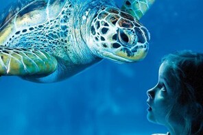 SEA LIFE Scheveningen Admission Ticket in The Hague
