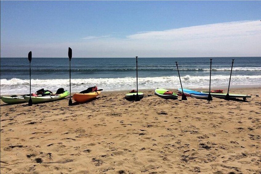 Small Group Dolphin Kayak Eco-Tour