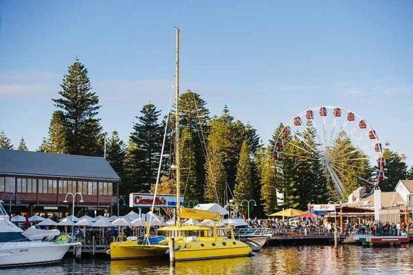 Fremantle Sunset Sail on WA's Iconic Yellow Catamaran