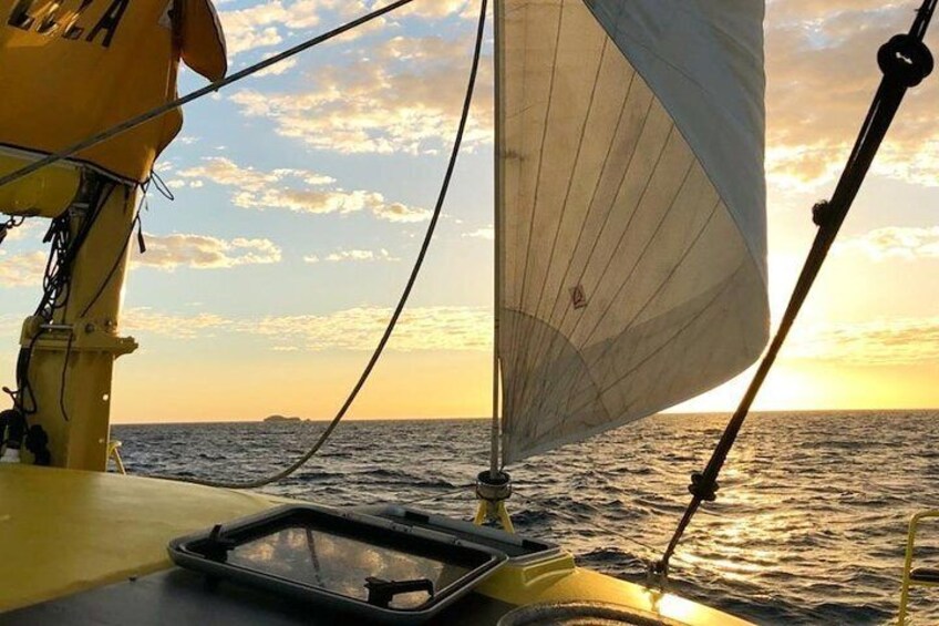 Fremantle Sunset Sail on WA's Iconic Yellow Catamaran