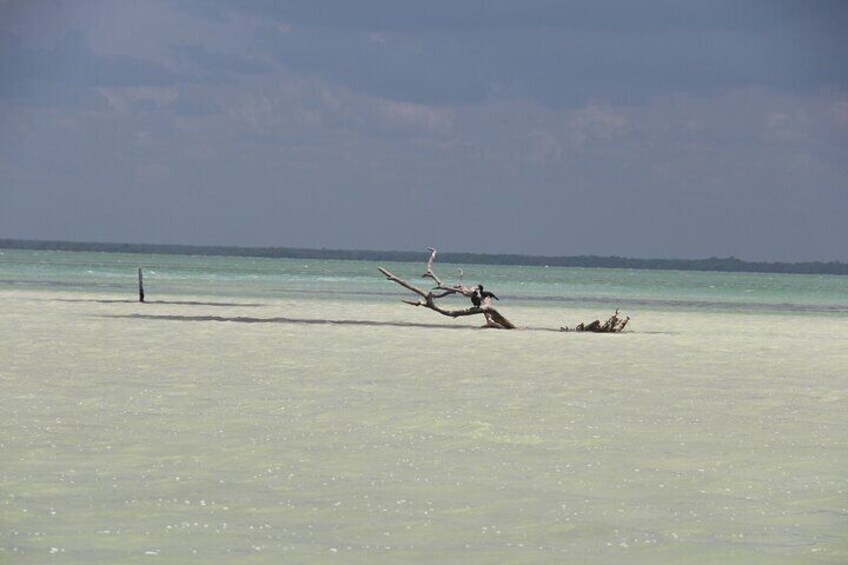 Eco Classic Tour Holbox
