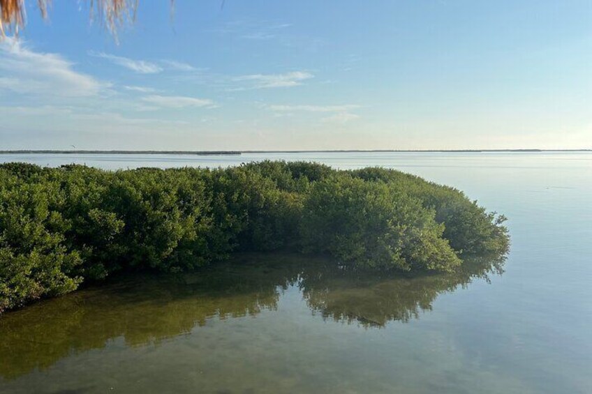 Eco Classic Tour Holbox