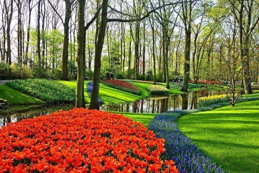 Private Skip the Line Keukenhof Gardens and Tulip Fields Trip from Amsterdam
