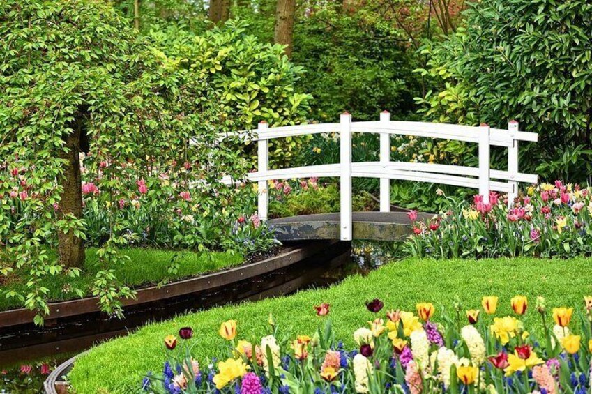 Private Skip the Line Keukenhof Gardens and Tulip Fields Tour from Amsterdam