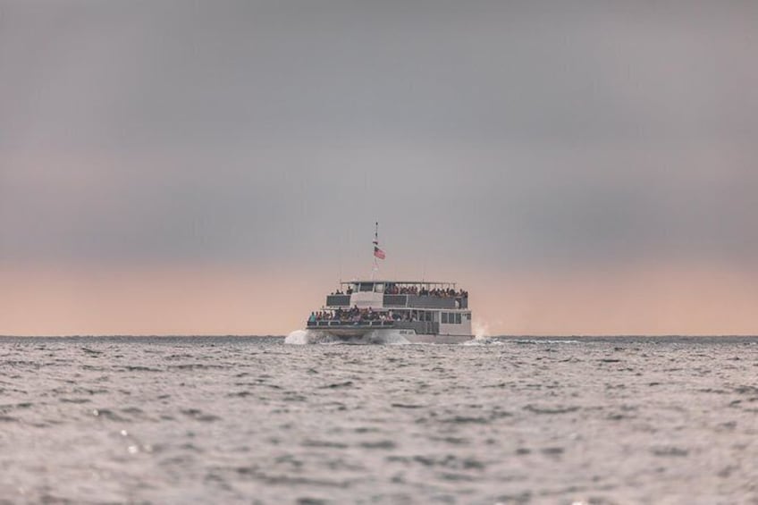 Show item 3 of 7. Whale-Watching Cruise from Newport Beach