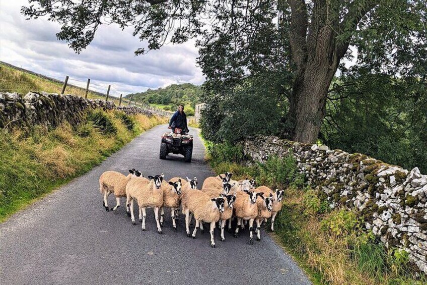 Traffic on our route in the Yorkshire Dales