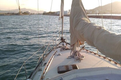 Townsville Small Group Sunset Sail Sailing Cruise Boat Tour Charter Hire 