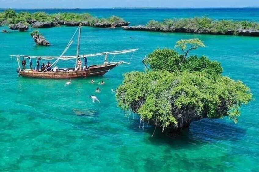 Kwale Island Dhow Sailing Tour from Zanzibar with Seafood Lunch