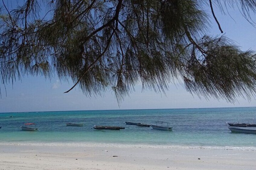 Paje Beach & Blue Lagoon Half Day Tour in Zanzibar Lunch Included