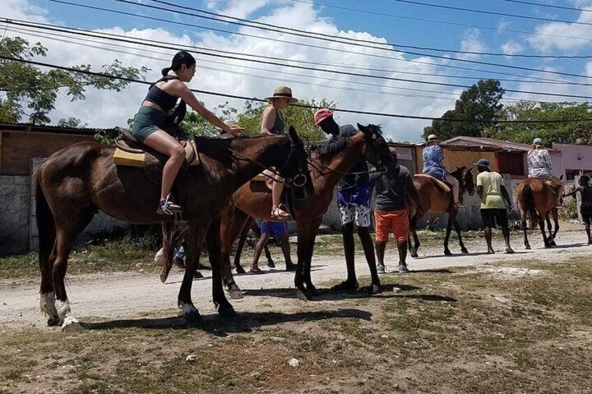 Hour Horseback Riding Guided Tour from Runaway Bay