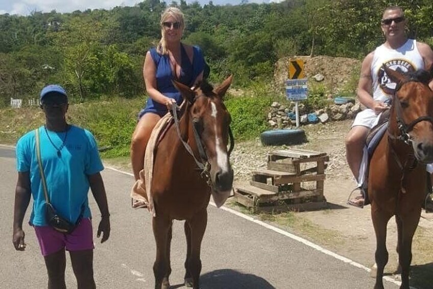 Hour Horseback Riding Guided Tour from Runaway Bay