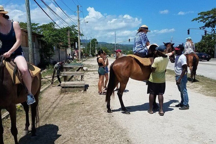 Hour Horseback Riding Guided Tour from Runaway Bay