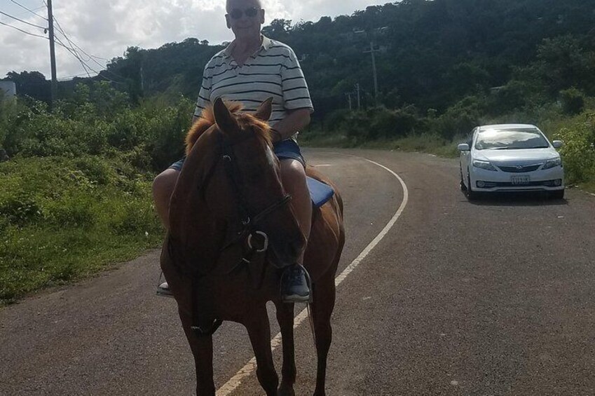 Hour Horseback Riding Guided Tour from Runaway Bay