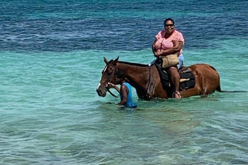 Hour Horseback Riding Guided Tour from Runaway Bay