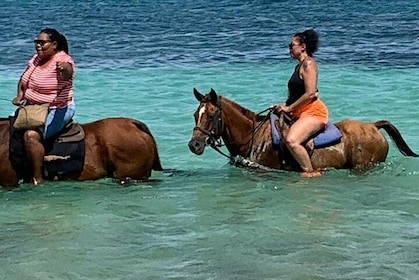 Hour Horseback Riding Guided Tour from Runaway Bay