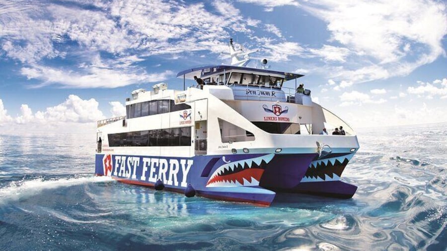 Fuerteventura: Ferry ticket to Lanzarote with wifi