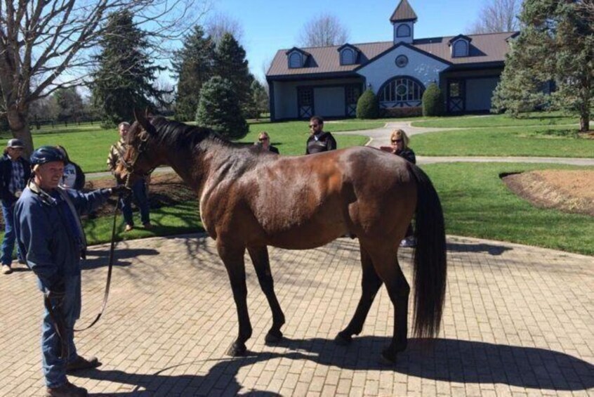 Show item 2 of 2. Unique Horse Farm Tour
