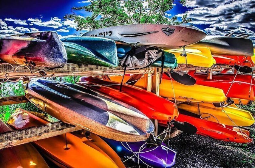 Kayaks Rentals Everyday