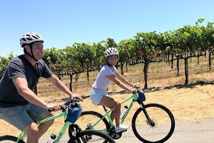 Guided Healdsburg Wine Country Bike and Wine Tasting Tour with lunch
