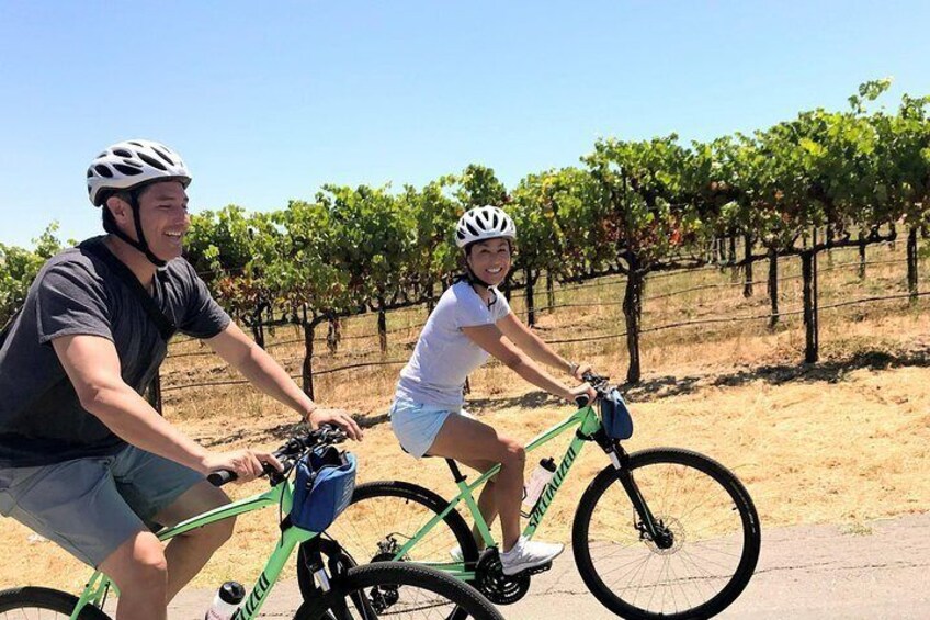 Guided Healdsburg Wine Country Bike and Wine Tasting Tour with lunch