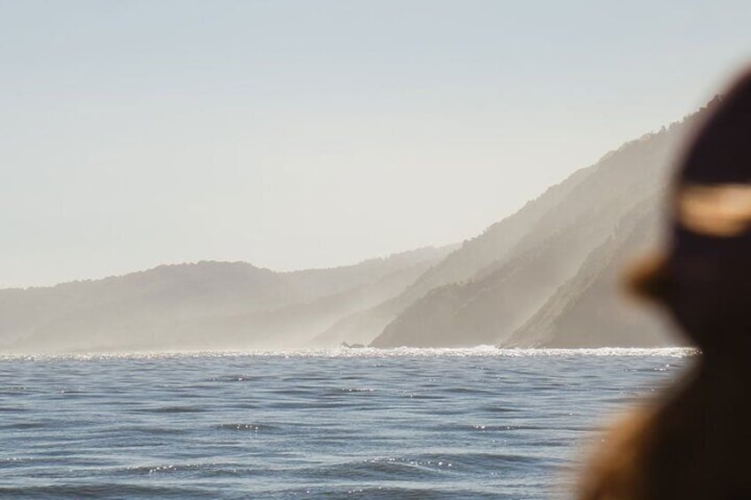 Award Winning Milford Sound Full Day Tour & Cruise from Te Anau