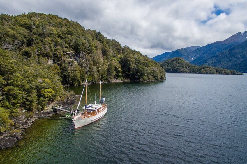 Your guided walk to the first of the Hidden Lakes in the Fiordland National Park.