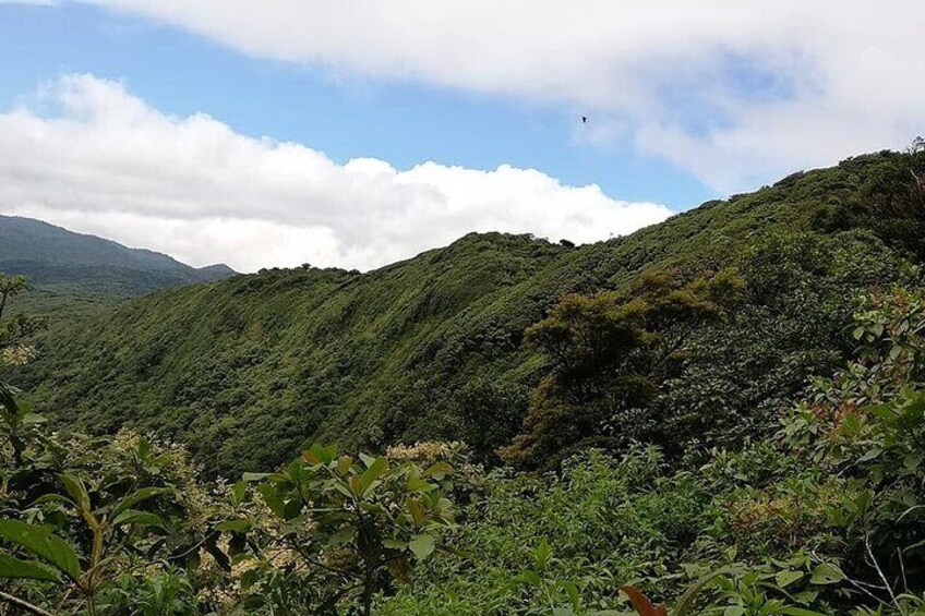 Monteverde Cloud Forest Tour with Johnny loves nature