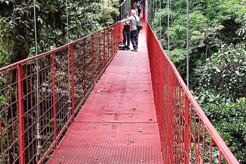 Monteverde Cloud Forest Tour with Johnny loves nature