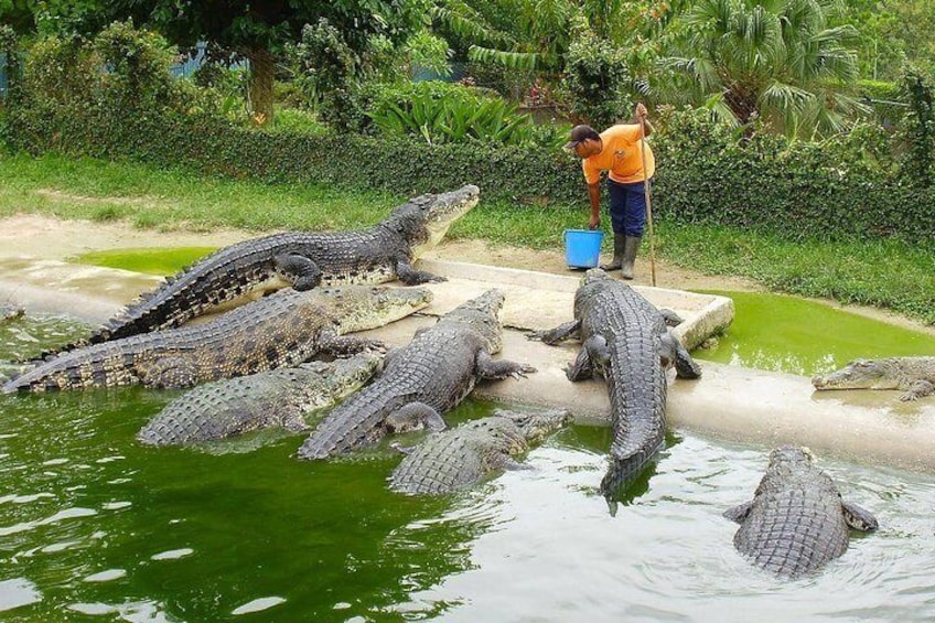 Crocodile Adventureland Langkawi Admission Ticket