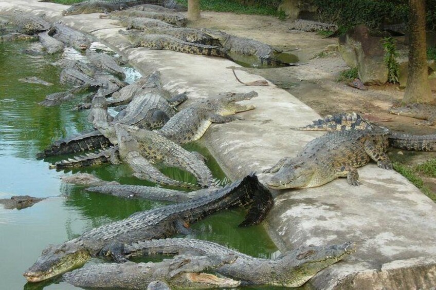 Crocodile Adventureland Langkawi Admission Ticket